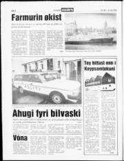 Síða 4