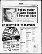 Síða 11