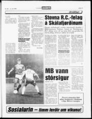 Síða 13