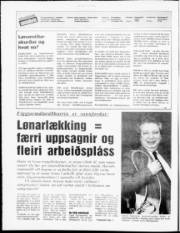 Síða 2