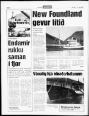 Síða 4