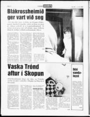 Síða 11