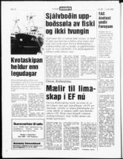 Síða 17