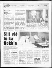 Síða 2