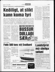 Síða 3