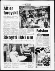 Síða 5