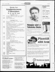Síða 19