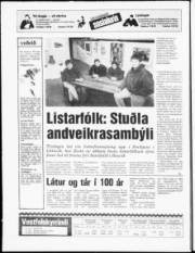 Síða 20
