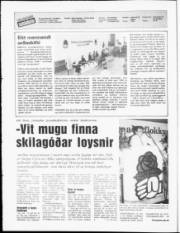 Síða 2