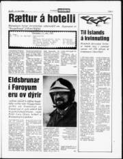 Síða 3