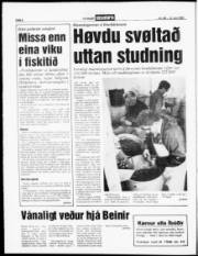 Síða 6