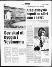 Síða 10