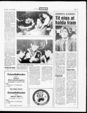 Síða 13