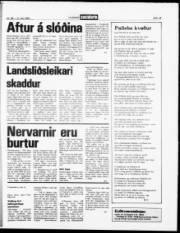 Síða 19