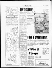 Síða 20