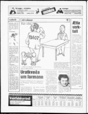 Síða 24