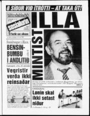 Síða 1