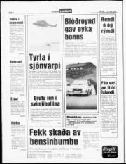 Síða 6