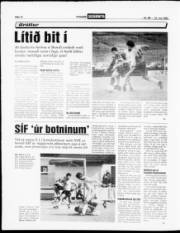 Síða 12