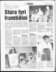 Síða 6