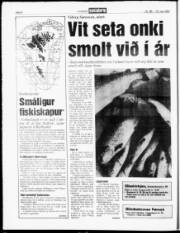 Síða 8