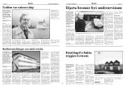Síða 7