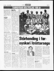 Síða 13