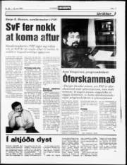 Síða 17