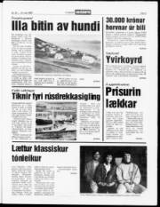 Síða 3
