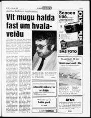 Síða 7