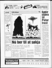 Síða 20