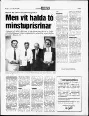 Síða 3