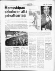 Síða 6