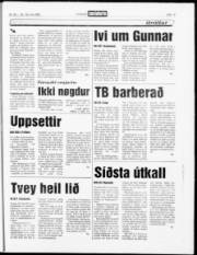 Síða 19