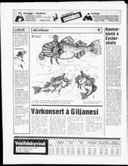 Síða 28