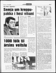 Síða 7