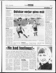 Síða 11
