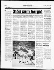 Síða 12