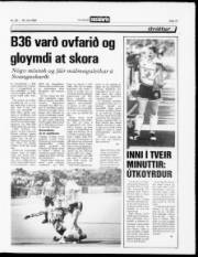 Síða 13