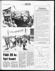 Síða 21