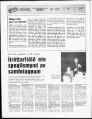 Síða 2