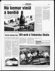 Síða 3