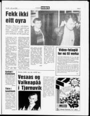 Síða 5