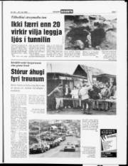Síða 7
