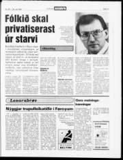 Síða 13