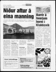 Síða 5