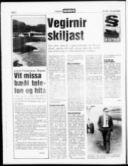 Síða 6