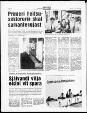 Síða 18