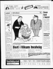 Síða 20