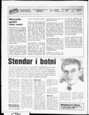 Síða 2